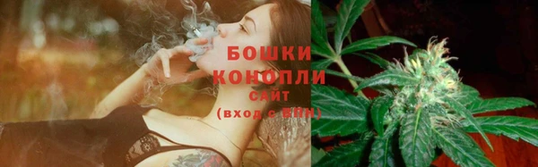 соль ск Балахна