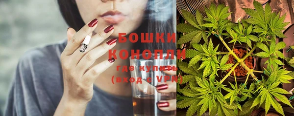 ГАЛЛЮЦИНОГЕННЫЕ ГРИБЫ Новодвинск