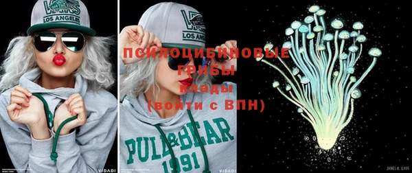 соль ск Балахна