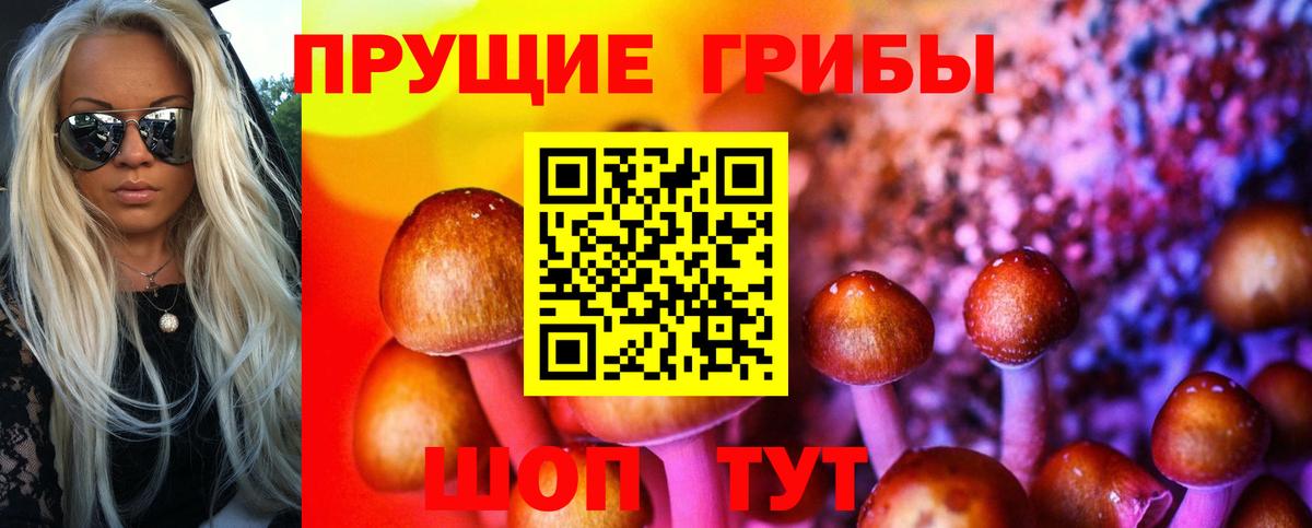 Псилоцибиновые грибы мицелий  Галлюциногенные грибы Psilocybine cubensis  Вход с VPN  Ульяновск 